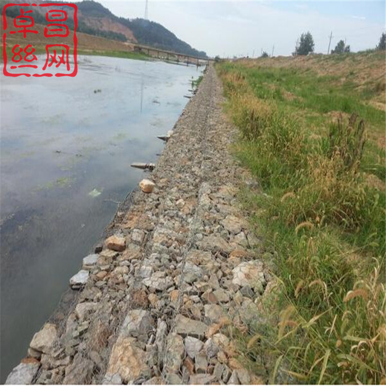 1697852892439048887.jpg 1269.jpg